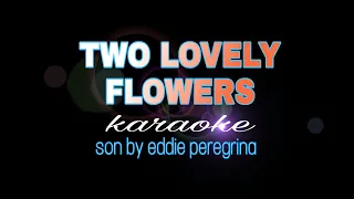 TWO LOVELY FLOWERS eddie peregrina karaoke