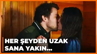 Ali, Selin'in Yaşadıklarını Unutturmaya Çalışıyor - Güneşin Kızları 38. Bölüm