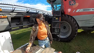 First Day of Harvest 2022!! Cutting Soybeans with our 9795 Massey Ferguson