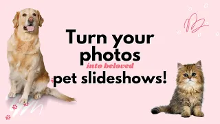 Pet Slideshow Example