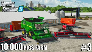 Harvesting LENTIL & FEEDING 10.000 PIGS | 10000 PIGS FARM | Farming Simulator 22