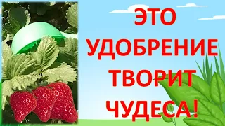 СЕКРЕТНОЕ УДОБРЕНИЕ КИТАЙСКИХ КОЛХОЗНИКОВ чтобы всех накормить. Органические удобрения.