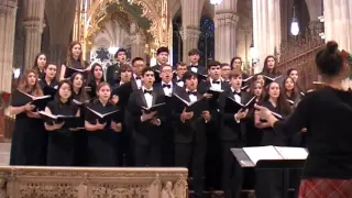 O Come, O Come, Emanuel - Syosset High School Chamber Chorus - St. Patrick's Cathedral - 12.16.15
