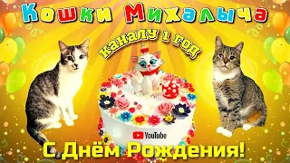 КОШКИ МИХАЛЫЧА. Каналу 1 год.