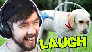 What Are They DOING To That Poor Dog? - Jacksepticeyes Funniest Home Videos