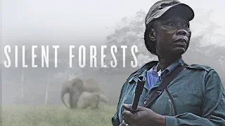 Silent Forests | Trailer | Available Now