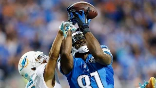 Calvin Johnson rises up over Brent Grimes for a 49-yard touchdown catch (Week 10, 2014)