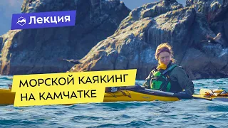 Морской каякинг на Камчатке