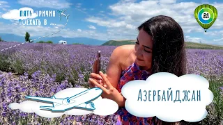 Путешествие по Азербайджану. Древнейший город мира, лавандовые поля и много клубники