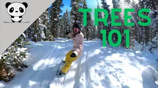 Complete Beginner's Guide to Start Snowboarding in Trees