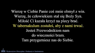 Wierzę w Ciebie Panie