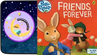 PETER RABBIT FRIENDS FOREVER: rabbit adventure book / kids rabbit book