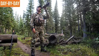 We Got Some Bugling Elk! | 2023 Idaho Elk with Randy (Ep.1)