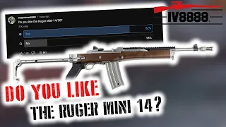 YouTube Poll: Do You Like the Ruger Mini 14?