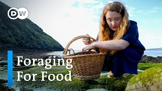 Cooking with Foraged Food: How This Chef Finds All Her Ingredients In The Wild