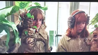 Scene from harry potter and the chamber of secrets mandrake bites draco malfoy.