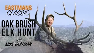 6x7 Bull! Elk Hunting with Mike Eastman