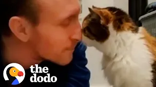 Guy And Cat Have Been Inseparable For 23 Years | The Dodo Soulmates