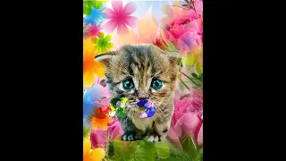 Эля, с днём рождения! #котики #кошки #коты #сднемрождения #мем