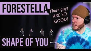 Forestella REACTION Shape of You | 포레스텔라 | How are they this good !?