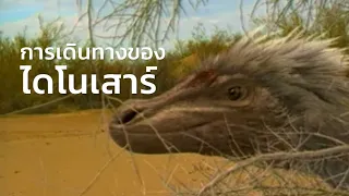 สารคดี สำรวจโลก การเดินทางของไดโนเสาร์