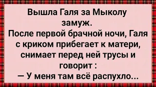 Как Галя За Мыколу Замуж Вышла! Сборник Свежих Анекдотов! Юмор!