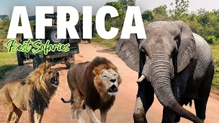 Best Time To Visit Kruger National Park | Garden Route Wildlife | Private Safari South Africa