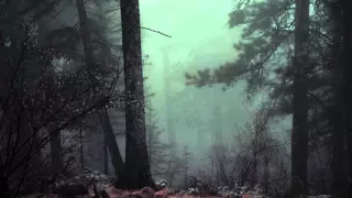 Scary Forest | Royalty Free | Ambience & Sound Effects