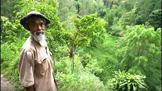 GIDDY NEWS: Once called crazy, Indonesian eco-warrior turns arid hills green