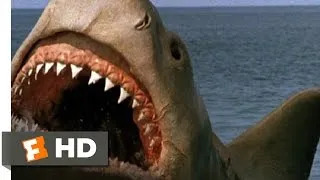 Jaws: The Revenge (8/8) Movie CLIP - Killing the Beast (1987) HD