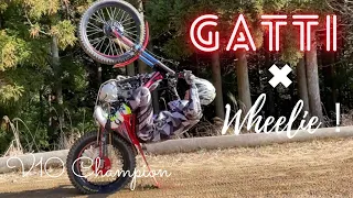 ウィリー (Wheelie)　×　GATTI