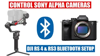 Control Sony Camera Recording w/ DJI RS 4 & RS 3 via Bluetooth [ Tutorial ] a7 IV, a7S III, A1, ZVE1