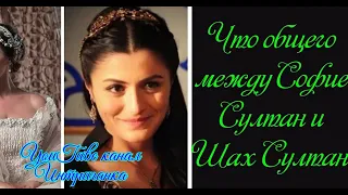 Что общего между Сафие султан и Шах султан?Великолепный век и ВВ Империя Кесем(Интриганка)