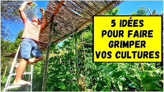 5 idées pour faire GRIMPER votre potager !