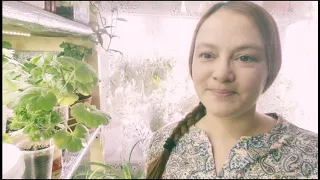 🌿Мои комнатные цветы. 🌿Будни цветочницы. 🌿Март 2021. 🌿