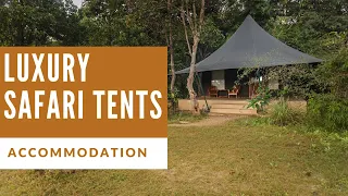 Accommodation - Our Luxury Safari Tents #Pench #PenchJungleCamp