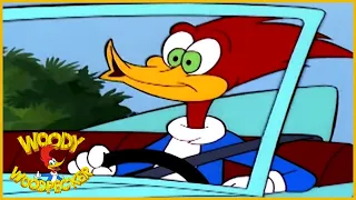 Woody Woodpecker | Hide and Seek | Woody Woodpecker Full Episodes | Kids Cartoon | Videos for Kids