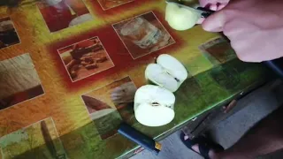 Сад ООО"Мичуринское" реализует яблоки осенних сортов