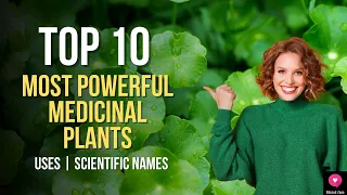 Top10 Most powerful Medicinal plants| Medicinal Plants And Their Uses | Scientific Names