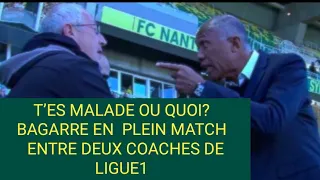 BAGARRE EN  PLEIN MATCH
 ENTRE DEUX COACHES DE LIGUE 1