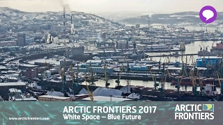 Russia in the Arctic: international and regional dimensions