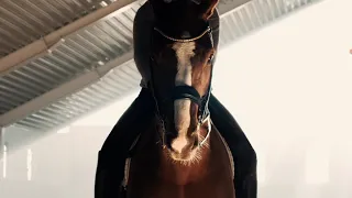 Ashley Look at Me! Horse Music Video * disclaimer: the videos aren't mine but the editing is! *