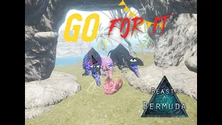 Beasts of Bermuda Acro hunt#2