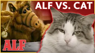 ALF's Best Cat Meow-ments 🙀