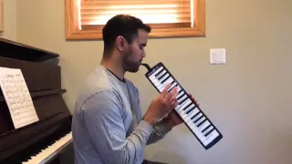 Stevie Wonder - Isn't She Lovely (Melodica Cover)