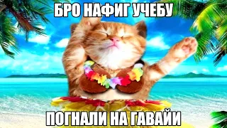 алоха🏖️🍹🥥🏝️☀️