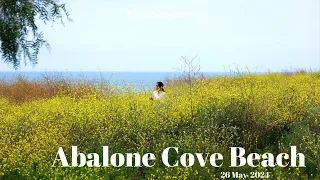 Abalone Cove Beach in Palos Verdes.