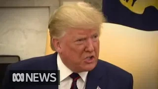 Trump says Democrat leading impeachment inquiry should be charged with treason | ABC News