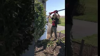 Leatherface (Texas Chainsaw Massacre) enjoying some landscaping work