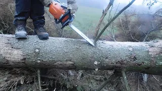 Motorová pila Stihl MS 291 / chainsaw MS 291 in the forest 🌳